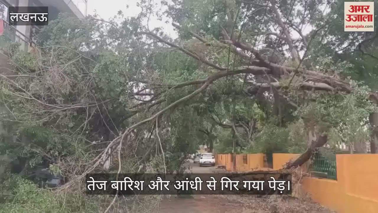 VIDEO : Lucknow: तेज बारिश और आंधी से गिर गया पेड़, लोगों को हुई मुश्किल