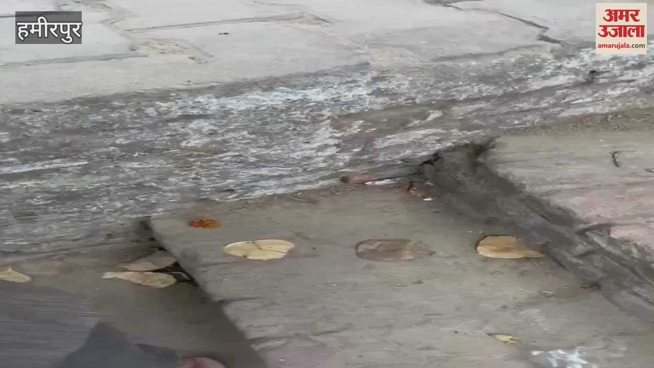 VIDEO : Young man beaten up and his braid pulled out, report filed