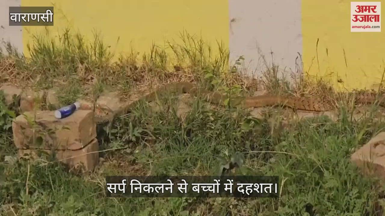 VIDEO : Snake seen in primary school in Varanasi case of Thatra II courtyard, panic among children
