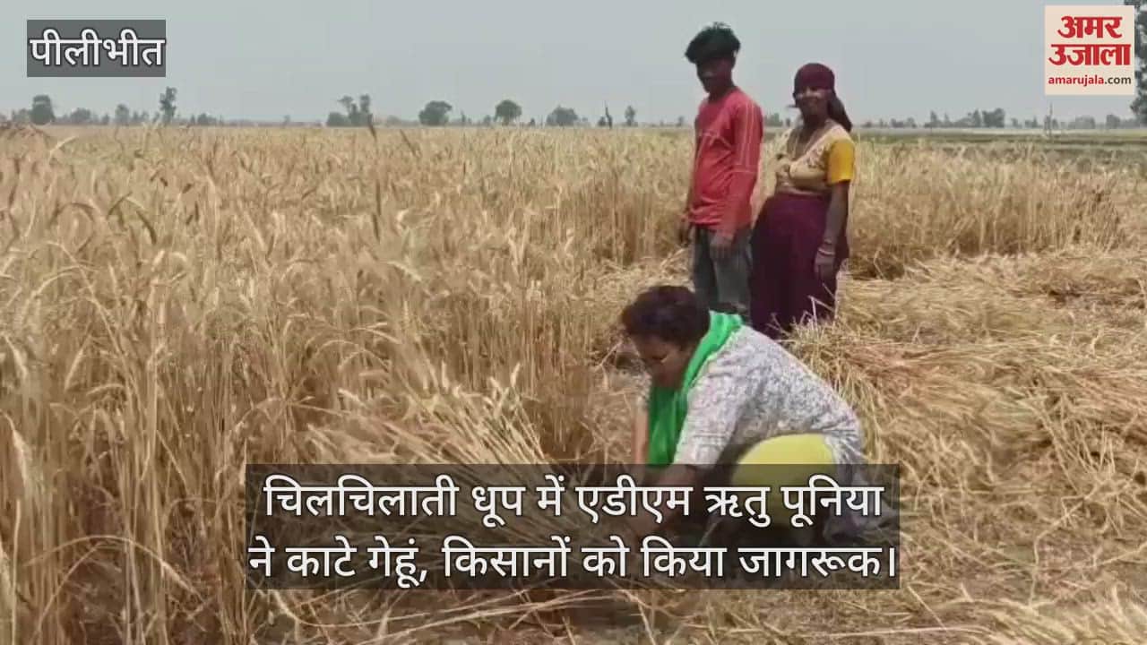 VIDEO : ADM Ritu Poonia harvested wheat in the scorching sun and made farmers aware