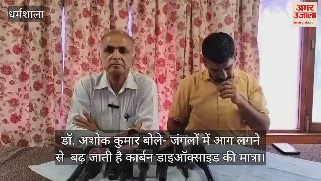VIDEO : Dr. Ashok Kumar said- The amount of carbon dioxide increases due to forest fires