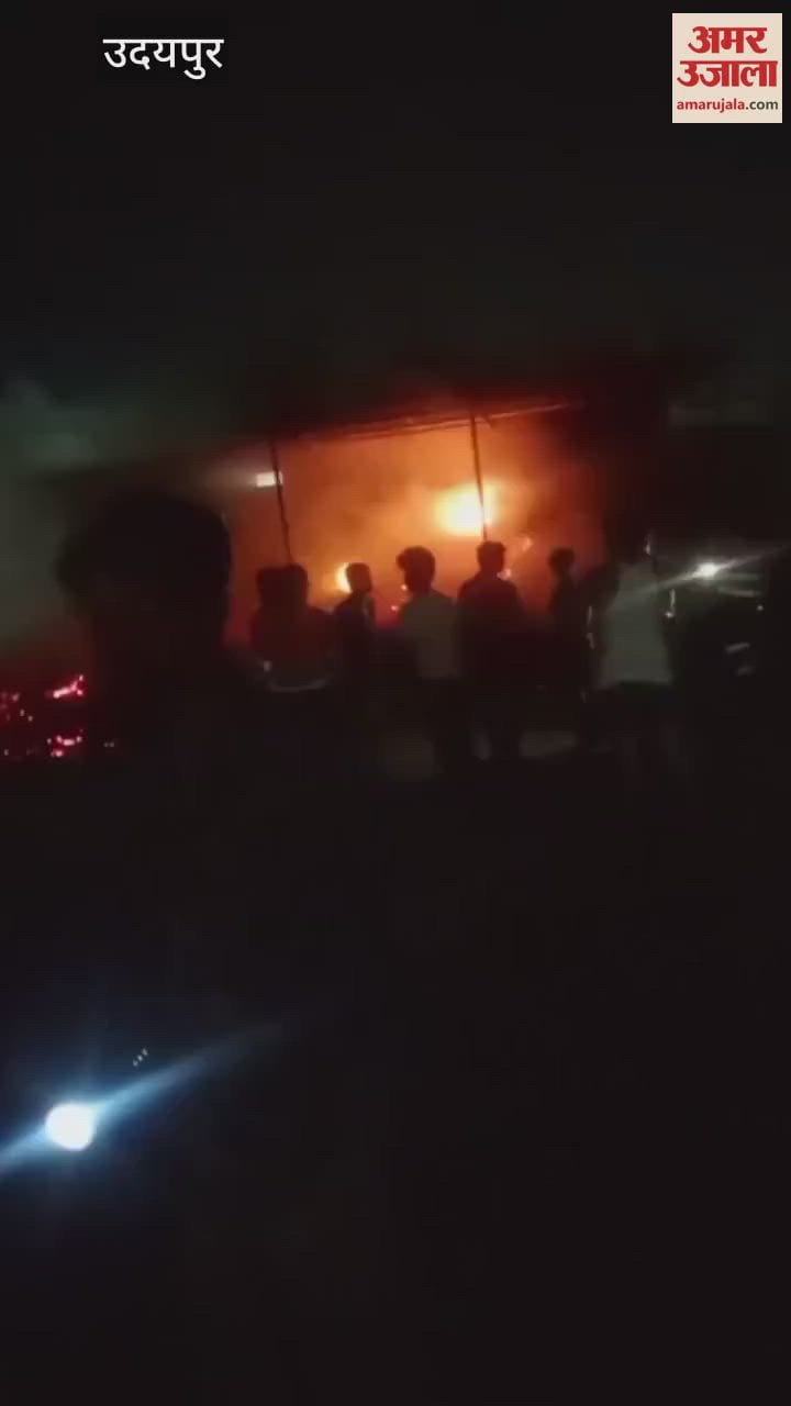 Fire Breaks Out in Cattle Shed in Udaipur, Owner Injured While Rescuing Cows