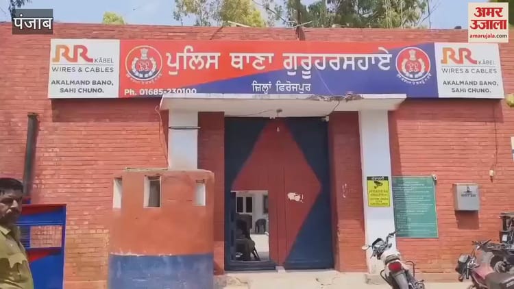 Video : Guruharsahai Police Caught A Person Cultivating Opium – Amar Ujala Hindi News Live