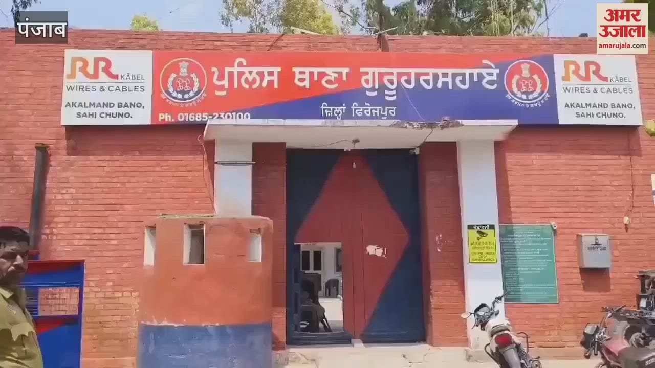 VIDEO : Guruharsahai police caught a person cultivating opium