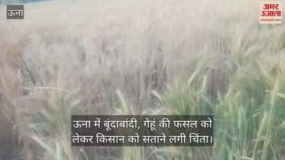 VIDEO : Drizzle in Una, farmers started worrying about wheat crop