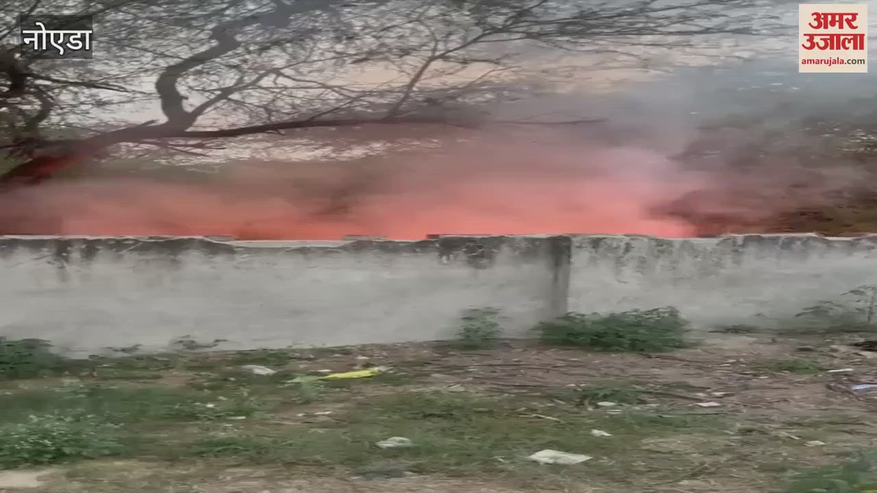 VIDEO : Fire breaks out in forest of Sector Delta-3 in Greater Noida