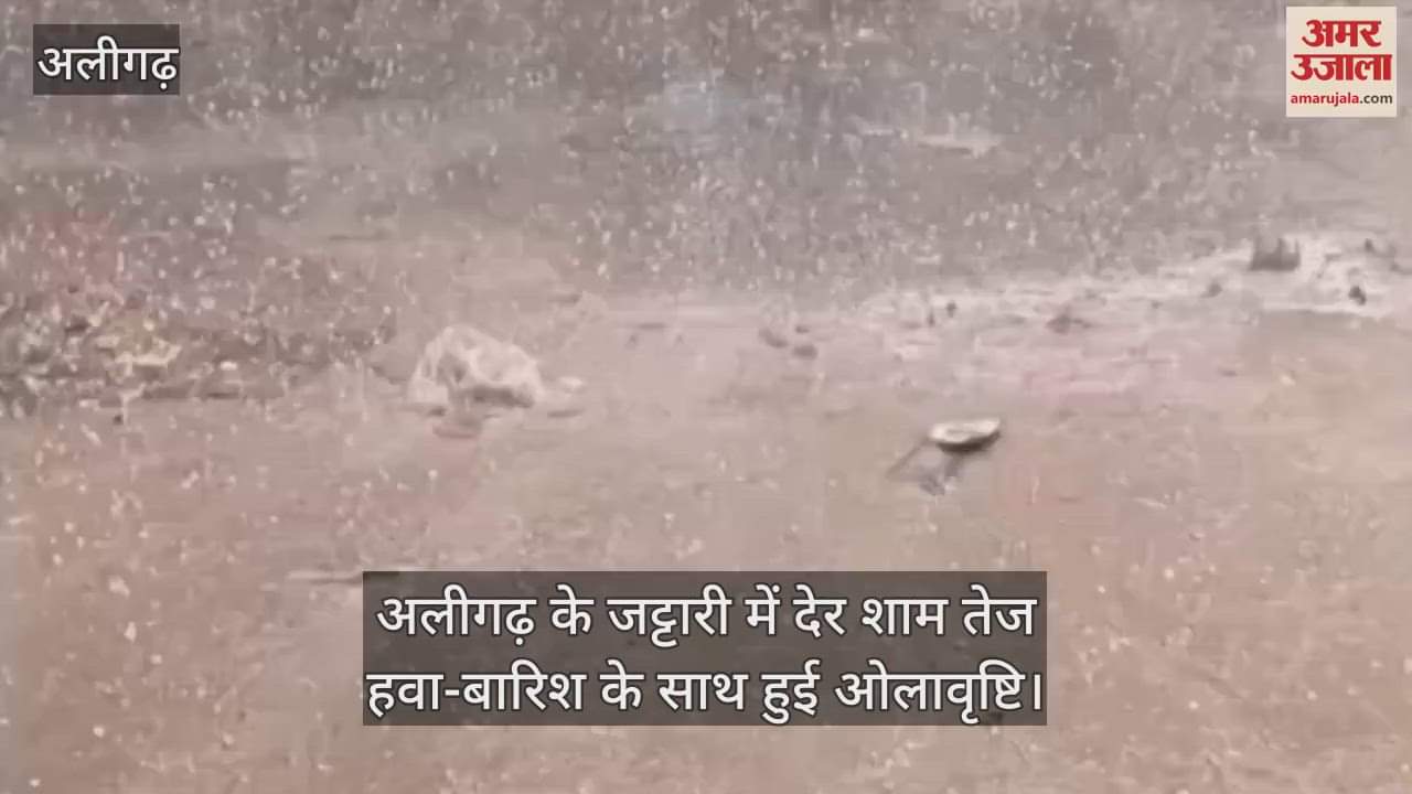 VIDEO : अलीगढ़ के जट्टारी में देर शाम तेज हवा-बारिश के साथ हुई ओलावृष्टि