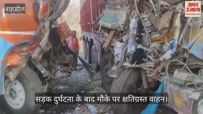 Shahdol News: Driver dies in a head-on collision between bus and truck