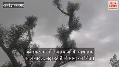 VIDEO : अंबेडकरनगर में तेज हवाओं के साथ छाए काले बादल, बढ़ा रहे हैं किसानों की चिंता