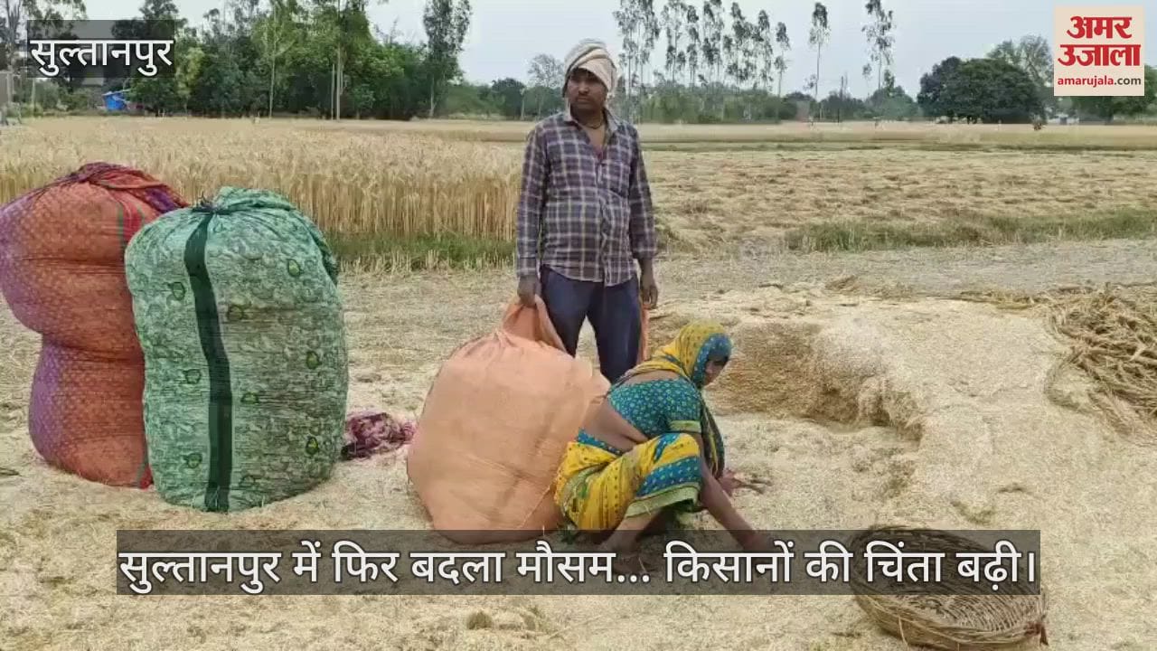 VIDEO : सुल्तानपुर में फिर बदला मौसम... किसानों की चिंता बढ़ी