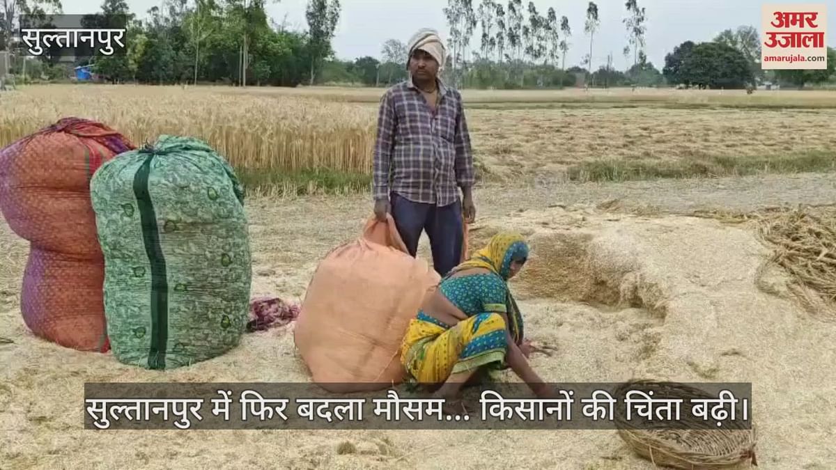 Video सुल्तानपुर में फिर बदला किसानों की चिंता बढ़ी