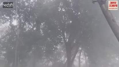 VIDEO : Up Weather News storm and rain caused havoc in bhadohi crops of farmers were destroyed trees fell
