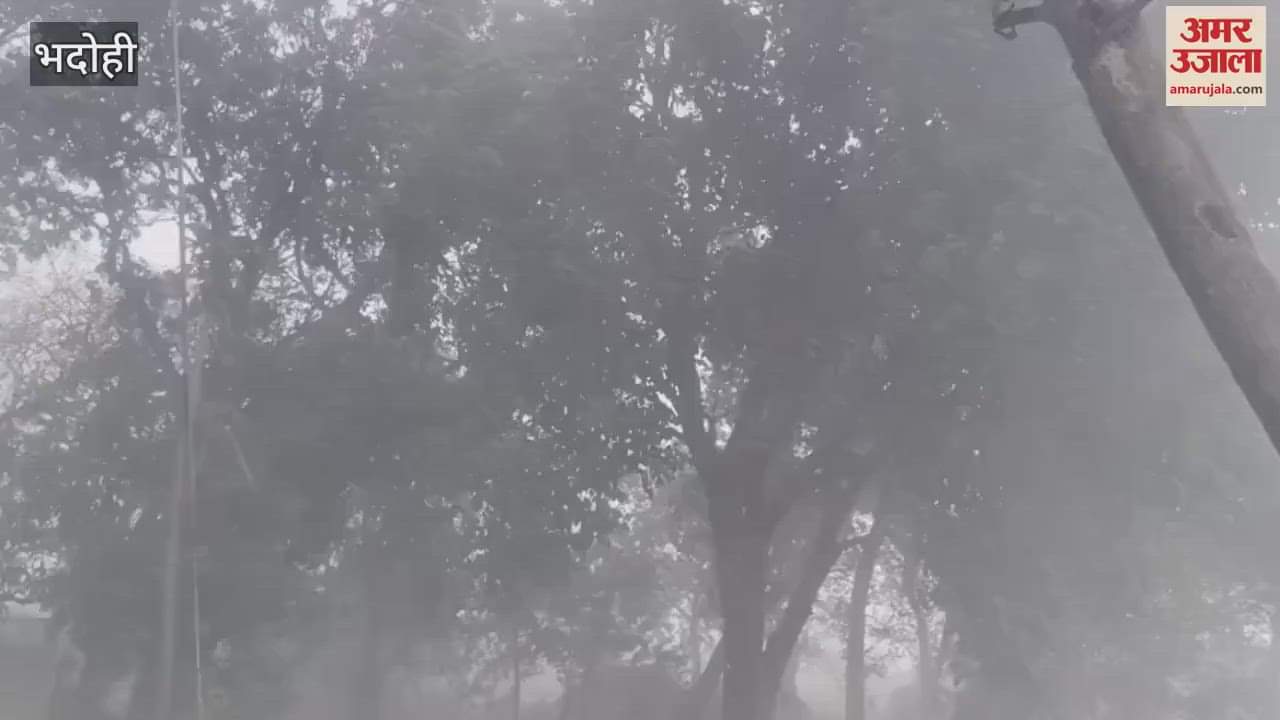 VIDEO : Up Weather News storm and rain caused havoc in bhadohi crops of farmers were destroyed trees fell