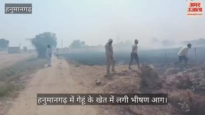 Hanumangarh News: Massive Fire Guts Standing Wheat Crop, 6 Bighas Reduced to Ashes, Farmer Seeks Compensation