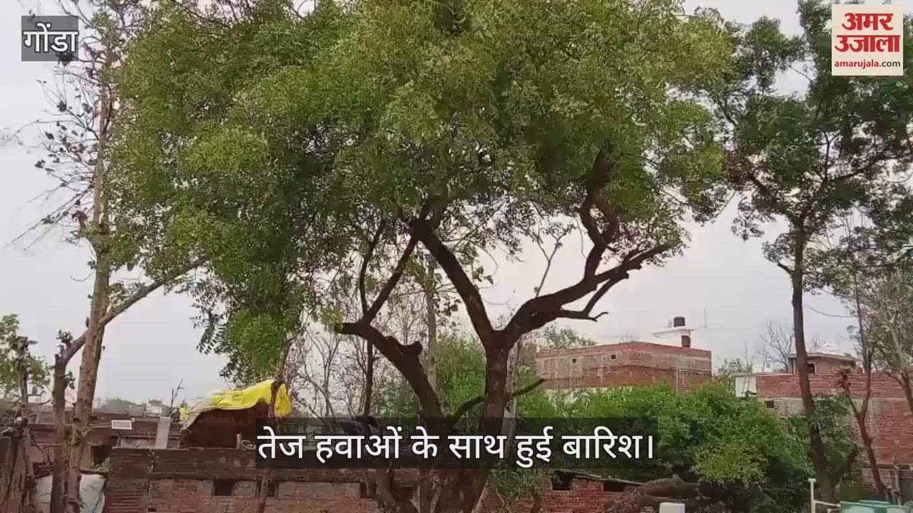 VIDEO : Gonda: गोंडा में बदला मौसम... शाम को तेज हवाओं के साथ कुछ इलाकों में हुई बारिश