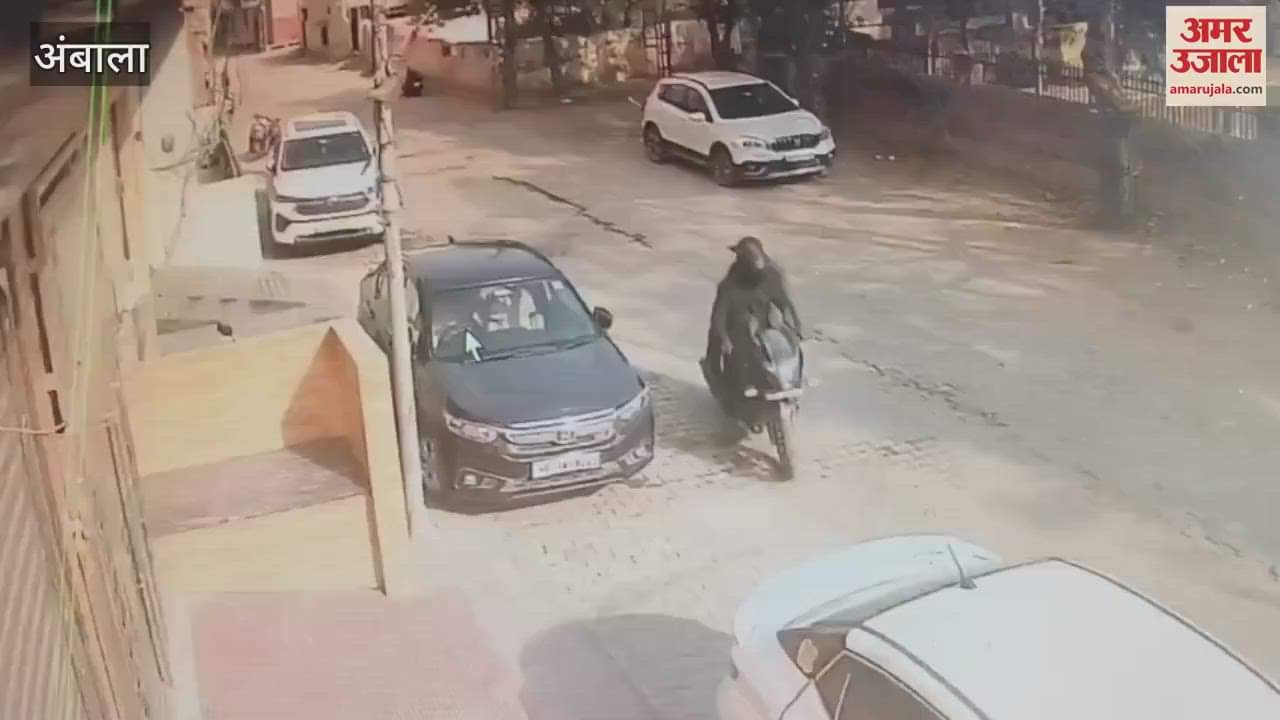 VIDEO : An elderly woman was standing at the gate of her house in Ambala, her gold chain was snatched on the pretext of asking for the address