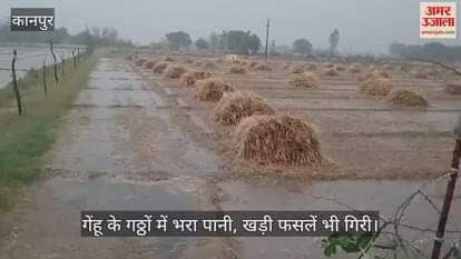 VIDEO : कानपुर में बेमौसम आंधी-बारिश से चार महीने की मेहनत पर फिरा पानी