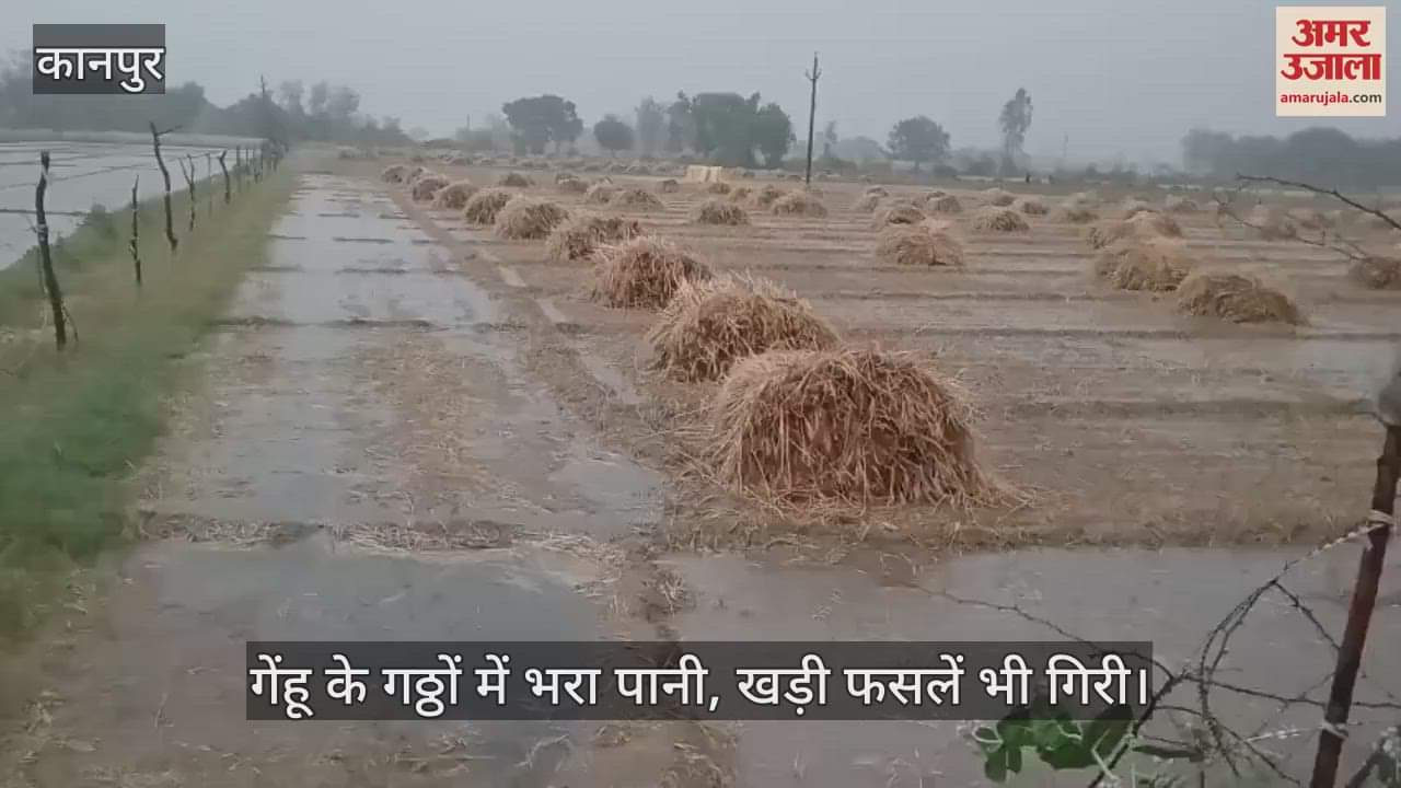 VIDEO : कानपुर में बेमौसम आंधी-बारिश से चार महीने की मेहनत पर फिरा पानी