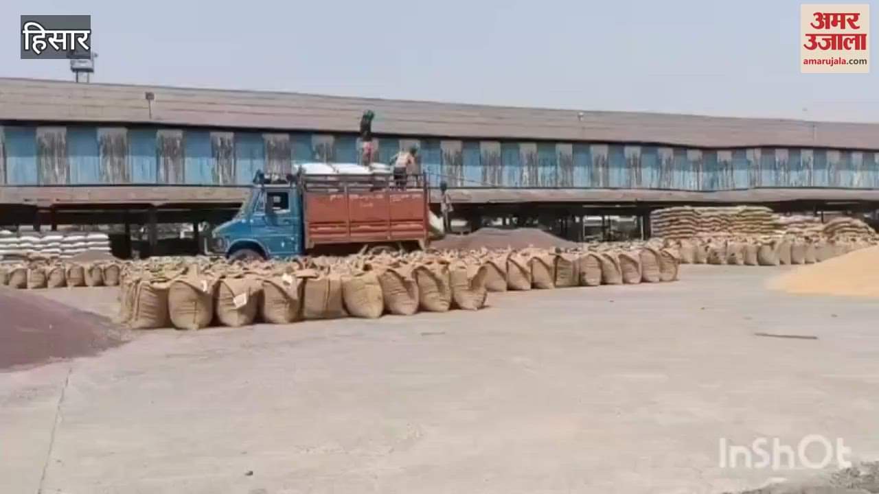 VIDEO : आसमान में काले बादल देख किसानों के माथे पर चिंता की लकीरें