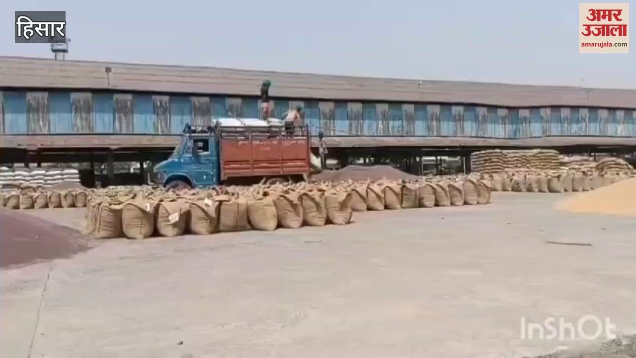 VIDEO : आसमान में काले बादल देख किसानों के माथे पर चिंता की लकीरें