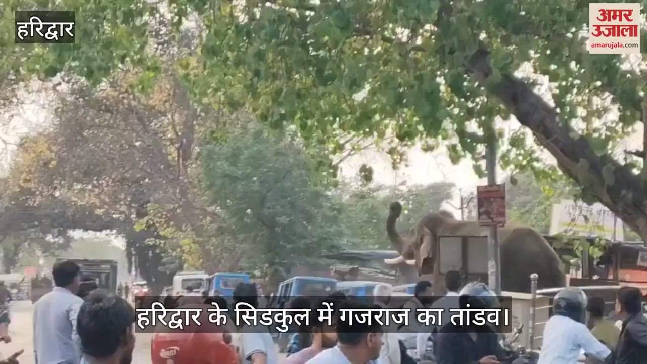 VIDEO : Gajraj's rampage in Haridwar's Sidkul, broke vehicles parked on the road, chased people