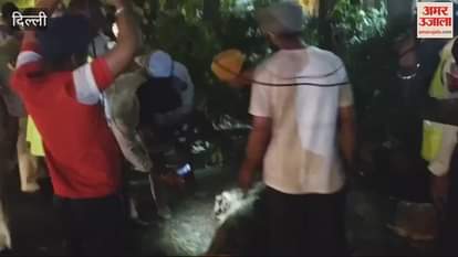 VIDEO : Tree fell near RK Ashram Road due to storm in Delhi