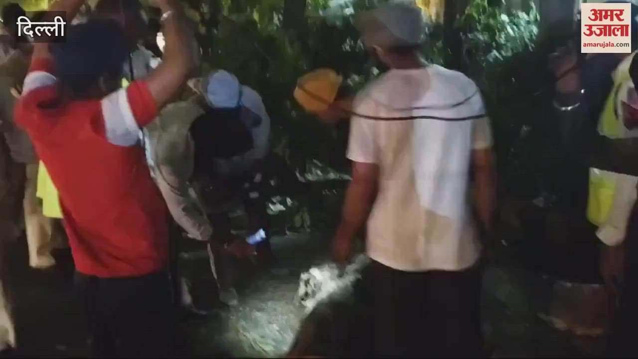 VIDEO : Tree fell near RK Ashram Road due to storm in Delhi