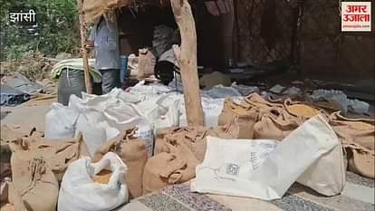 VIDEO : 25 thousand fine for illegal purchase of wheat