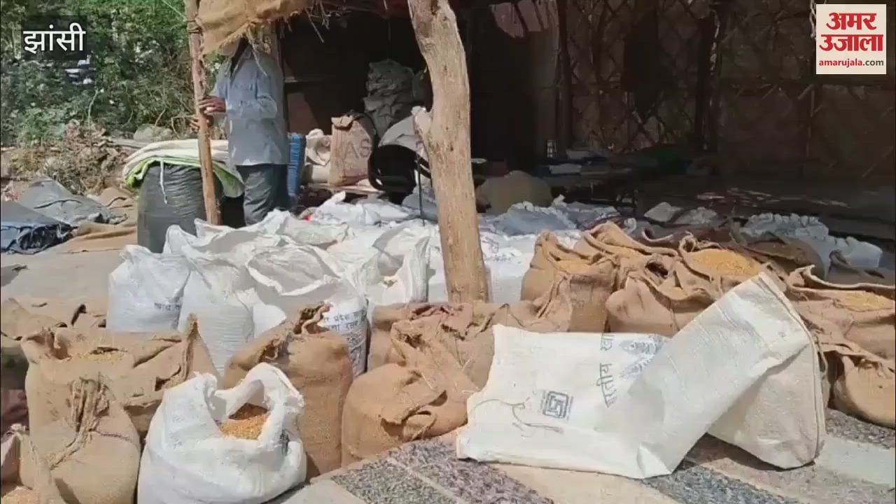VIDEO : 25 thousand fine for illegal purchase of wheat