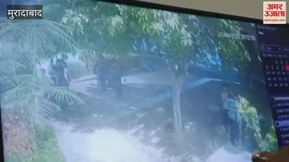 VIDEO : Lightning struck TMU, five students standing under a tree to avoid rain got scorched; two in critical condition