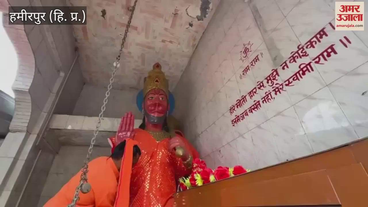 VIDEO : Hanuman Jayanti is being celebrated with great pomp in Hamirpur