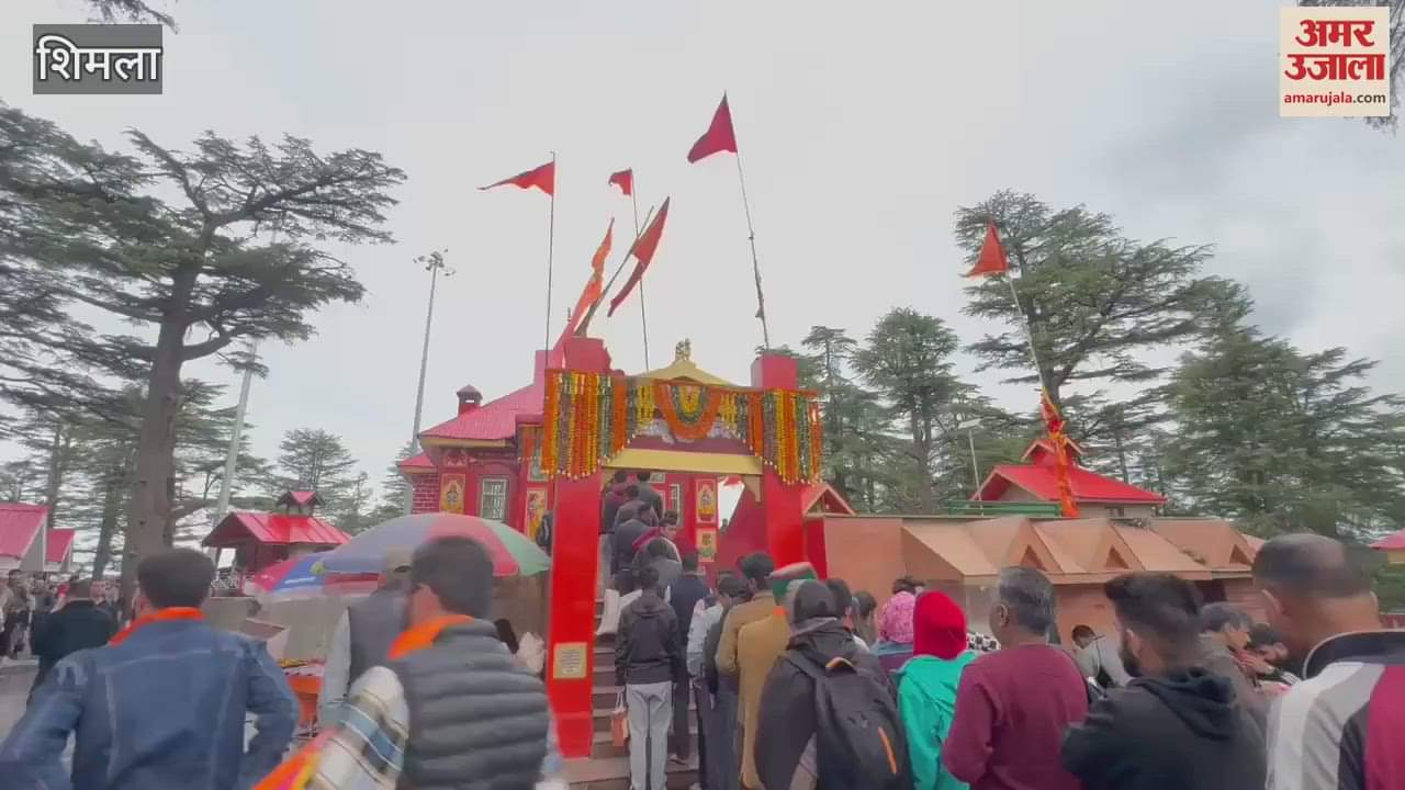 VIDEO : Huge crowd of devotees on Hanuman Jayanti at Jakhu temple in Shimla