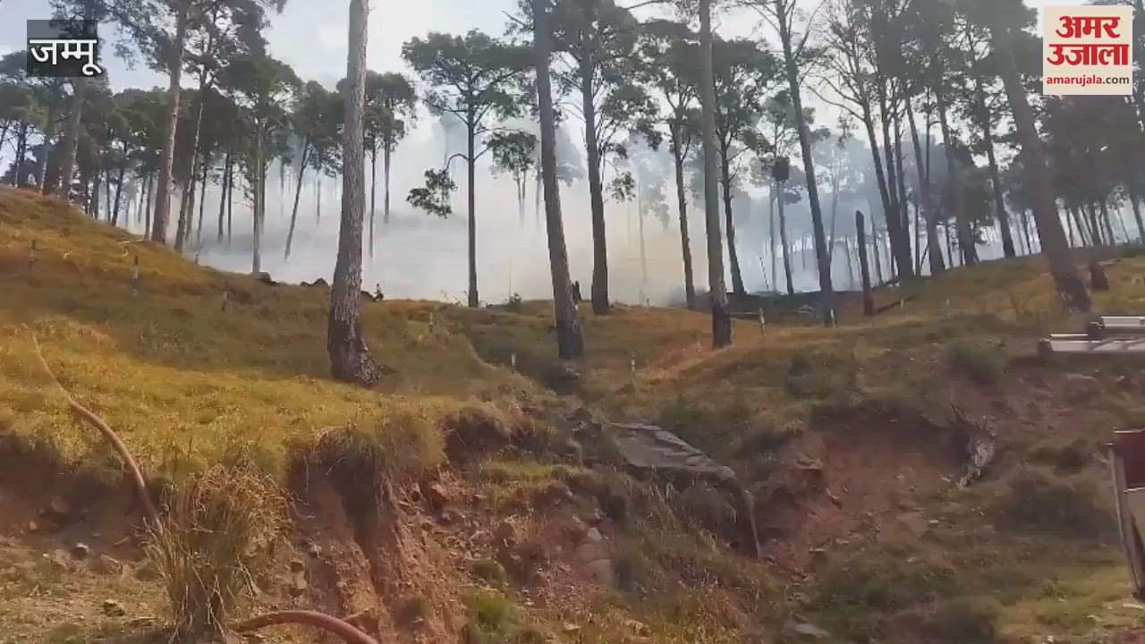 VIDEO : A huge fire broke out in the forest of Chinani, the fire department brought it under control after hours of effort