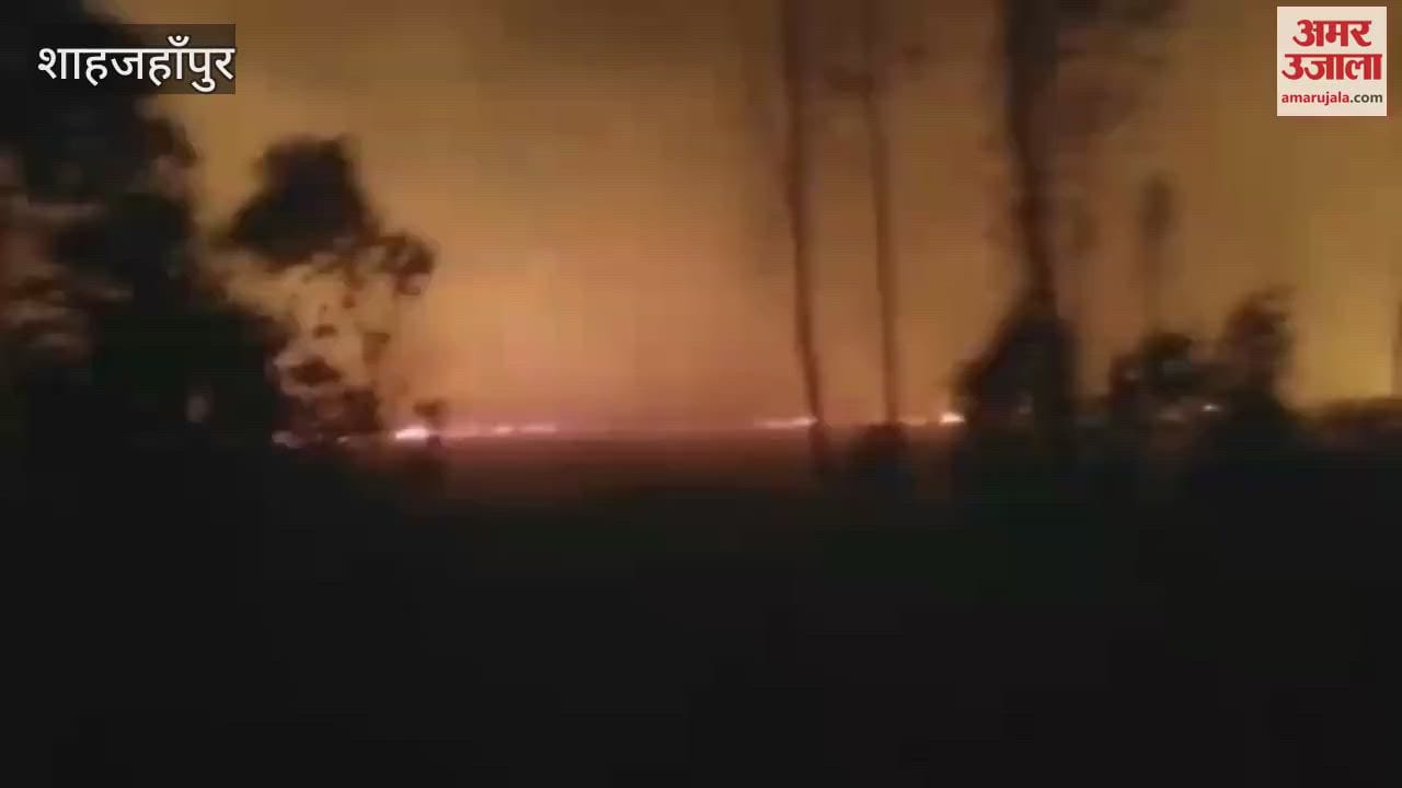 VIDEO : Wheat crop caught fire during storm in Khudaganj of Shahjahanpur