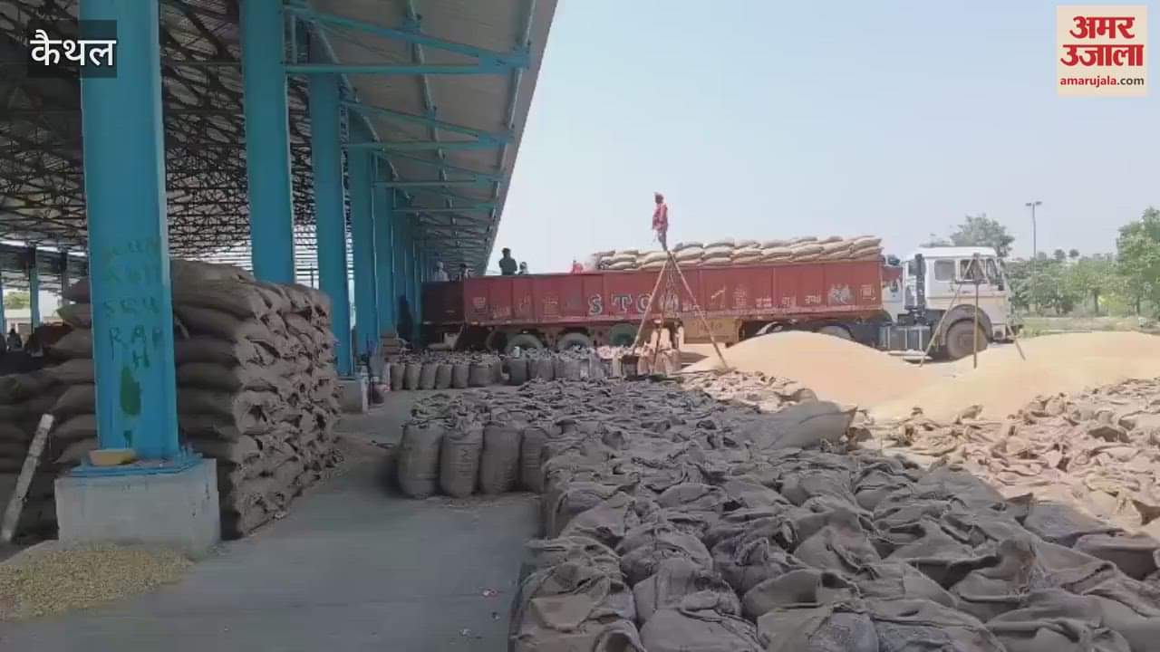 VIDEO : बारिश की आहट से अनाज मंडियों में गेहूं की आवक पर ब्रेक, उठान शुरू