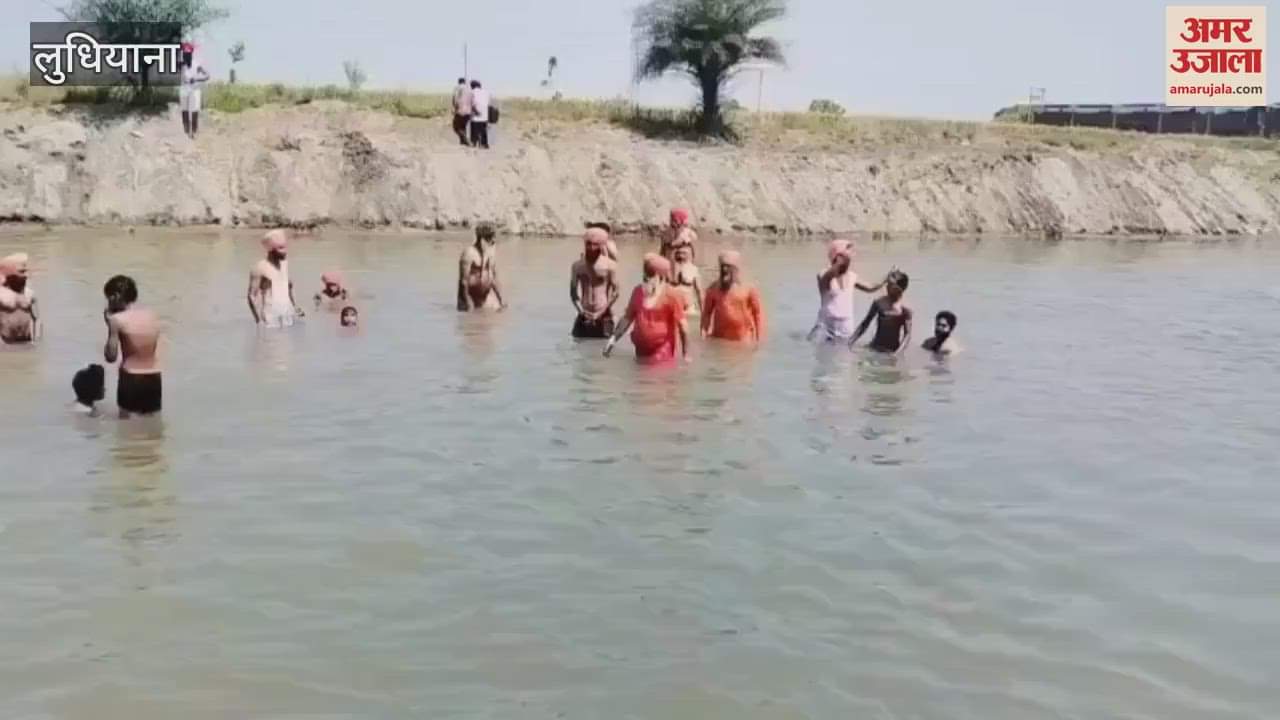 VIDEO : MP Balbir Singh Seechewal took a bath in Ludhiana's Budha Dariya and drank the water