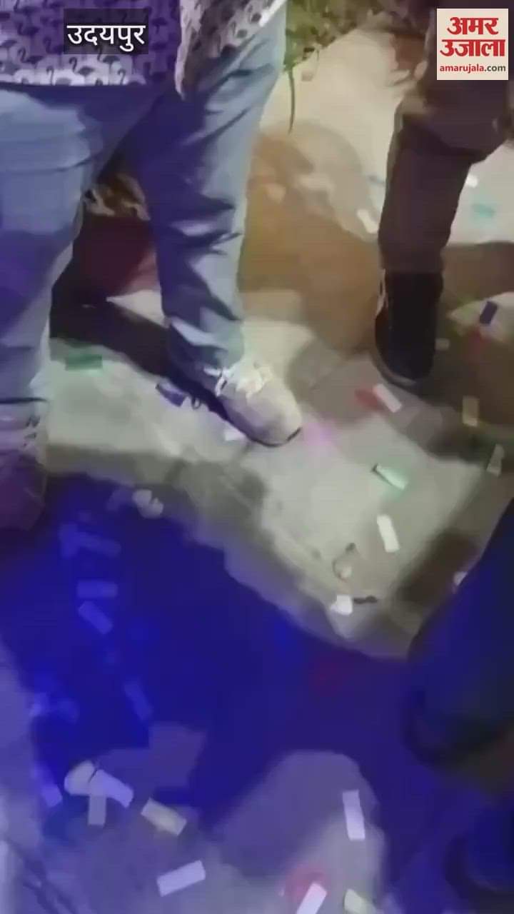 Udaipur News: Bhim Army Insists on Hoisting Flag at Court Circle; Tension Eases After argument with Police