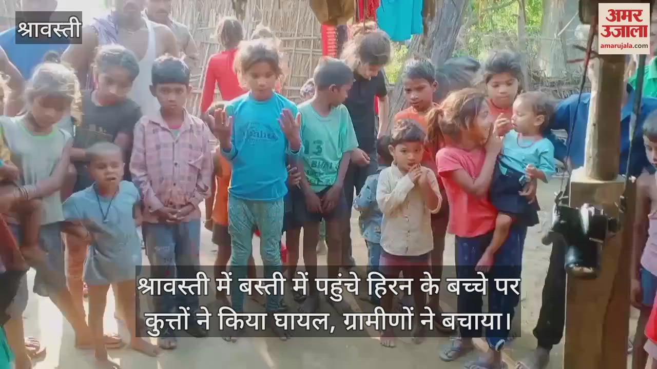 श्रावस्ती में बस्ती में पहुंचे हिरन के बच्चे पर कुत्तों ने किया घायल, ग्रामीणों ने बचाया