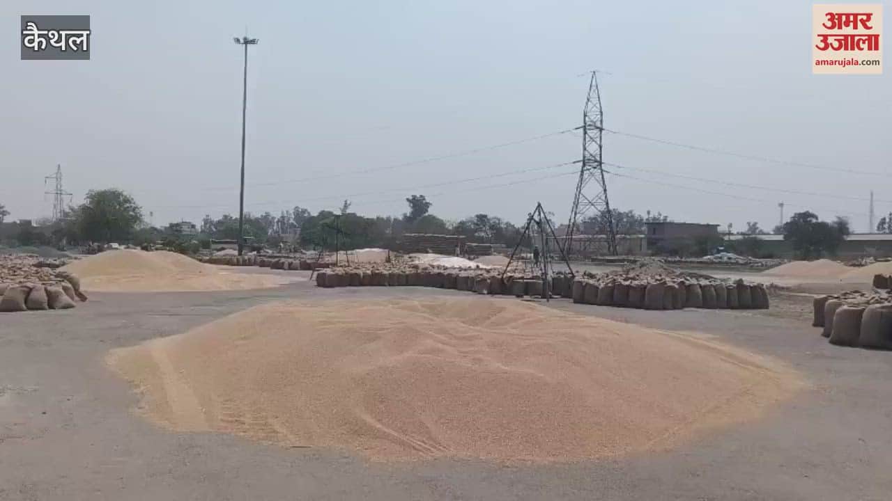 This time also wheat crop was planted in Transport Nagar in Kaithal, but it is not being lifted