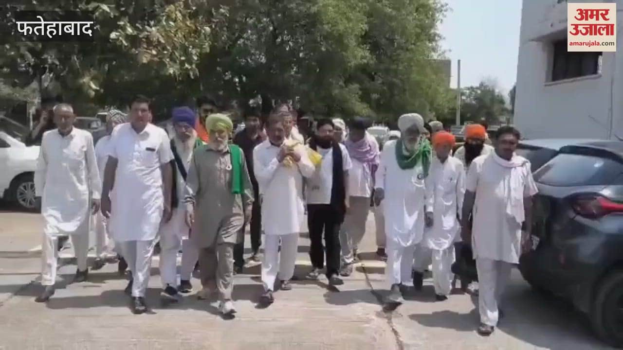 Wheat crop damaged due to factory smoke in Tohana, Fatehabad, farmers submitted memorandum to SDM