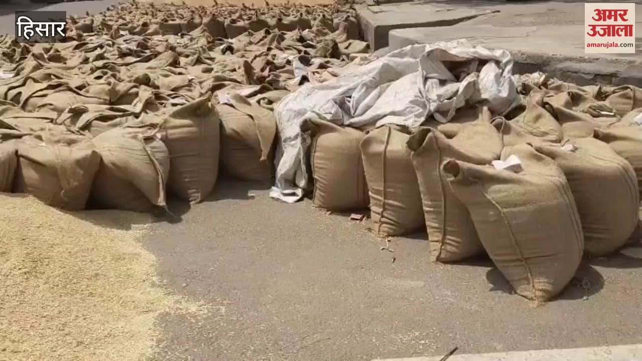 Wheat is being dumped on the road of the market in Hisar, 96 percent of the wheat is not being lifted