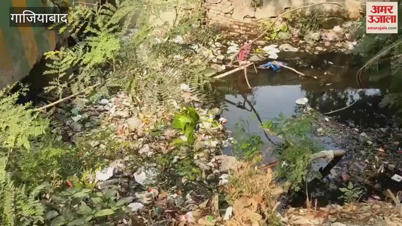 Ghaziabad municipal corporation drains filled with garbage