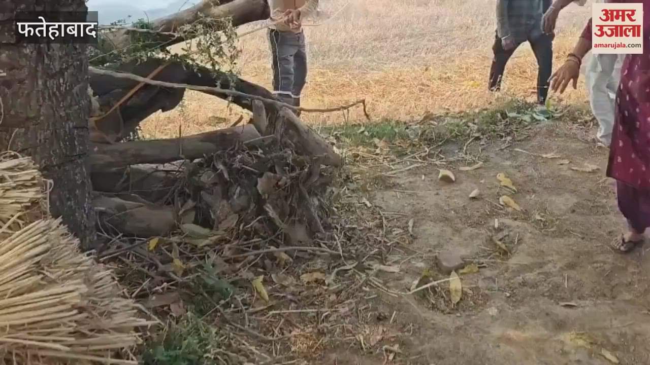 फतेहाबाद गेंहू की खड़ी फसल में लगी आग, दमकल विभाग की गाड़ियां मौके पर पहुंची