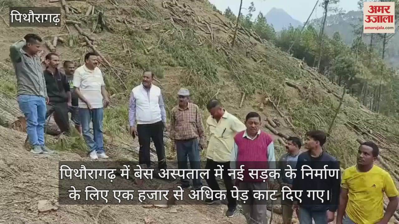 One thousand green trees were cut near Base Hospital anger rose among people of Punedi Lyunthuda Pithoragarh