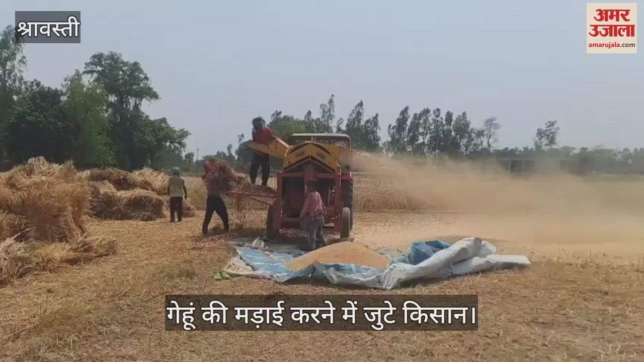 श्रावस्ती:  आसमान में छाए बादल तो बिना पूरी तरह सूखे ही गेहूं की मड़ाई करने में जुटे किसान