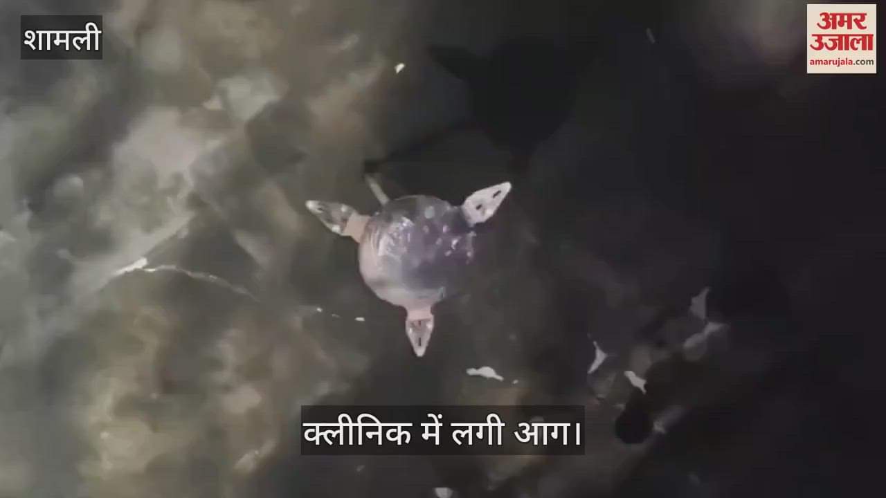 VIDEO : fire broke out due to short circuit in Care Clinic in Chausana of Shamli, a major accident was averted