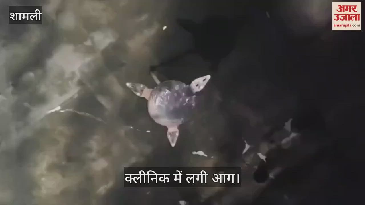 VIDEO : fire broke out due to short circuit in Care Clinic in Chausana of Shamli, a major accident was averted