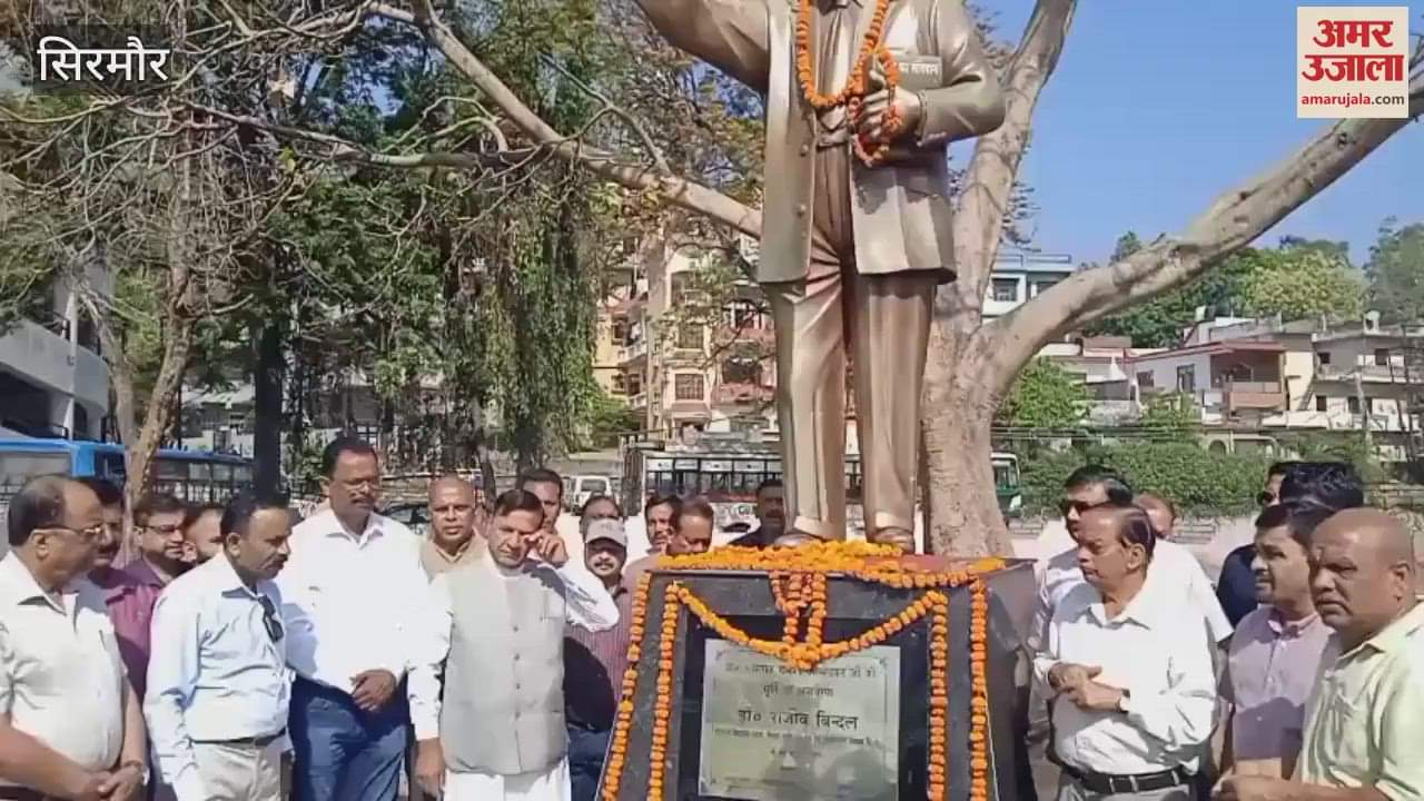 VIDEO : Dr. Bhimrao Ambedkar 134th birth anniversary Rajiv Bindal offered flowers