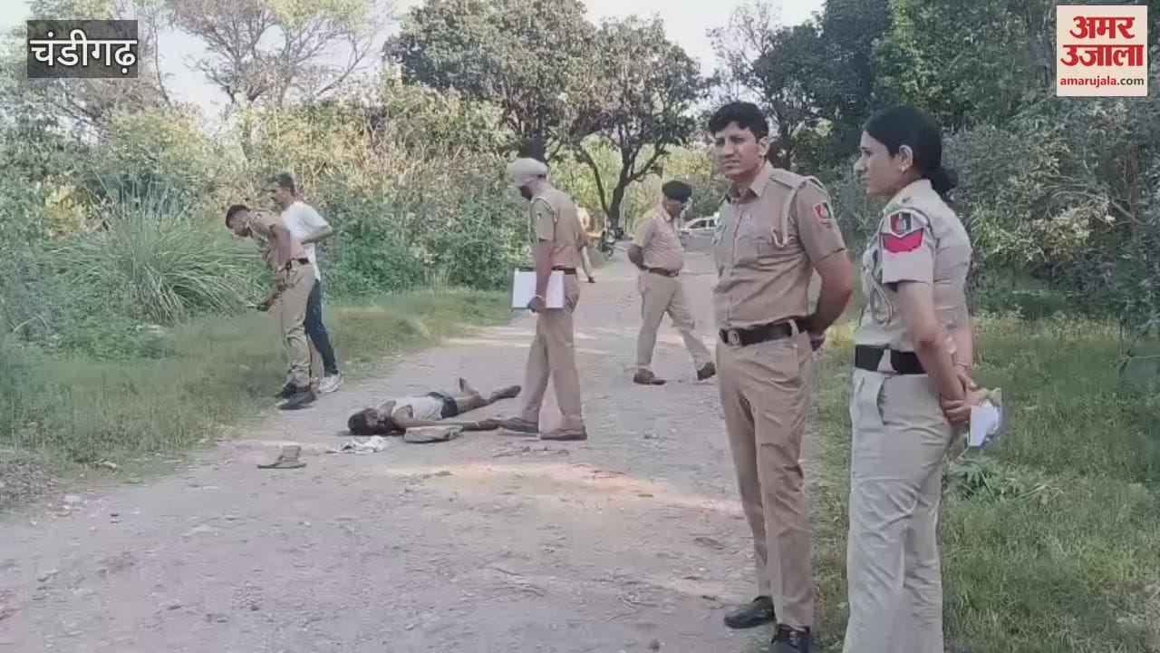 VIDEO : Man Found Murdered In Chandigarh