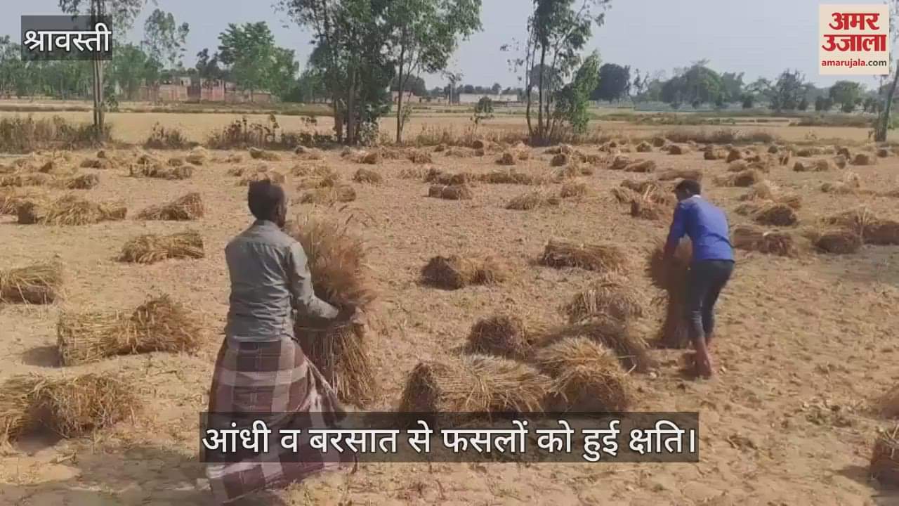 श्रावस्ती: भीगी फसलों को सुखाने में किसानों के छूट रहे पसीने, आंधी व बरसात ने फसलों को पहुंचाई क्षति